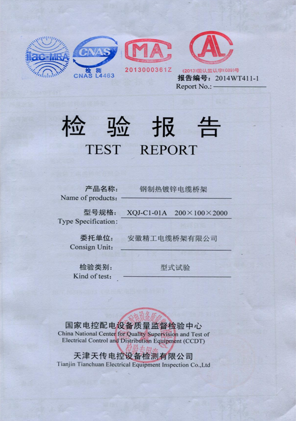檢驗報告